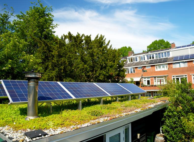 Zonnepanelen Groen Dak